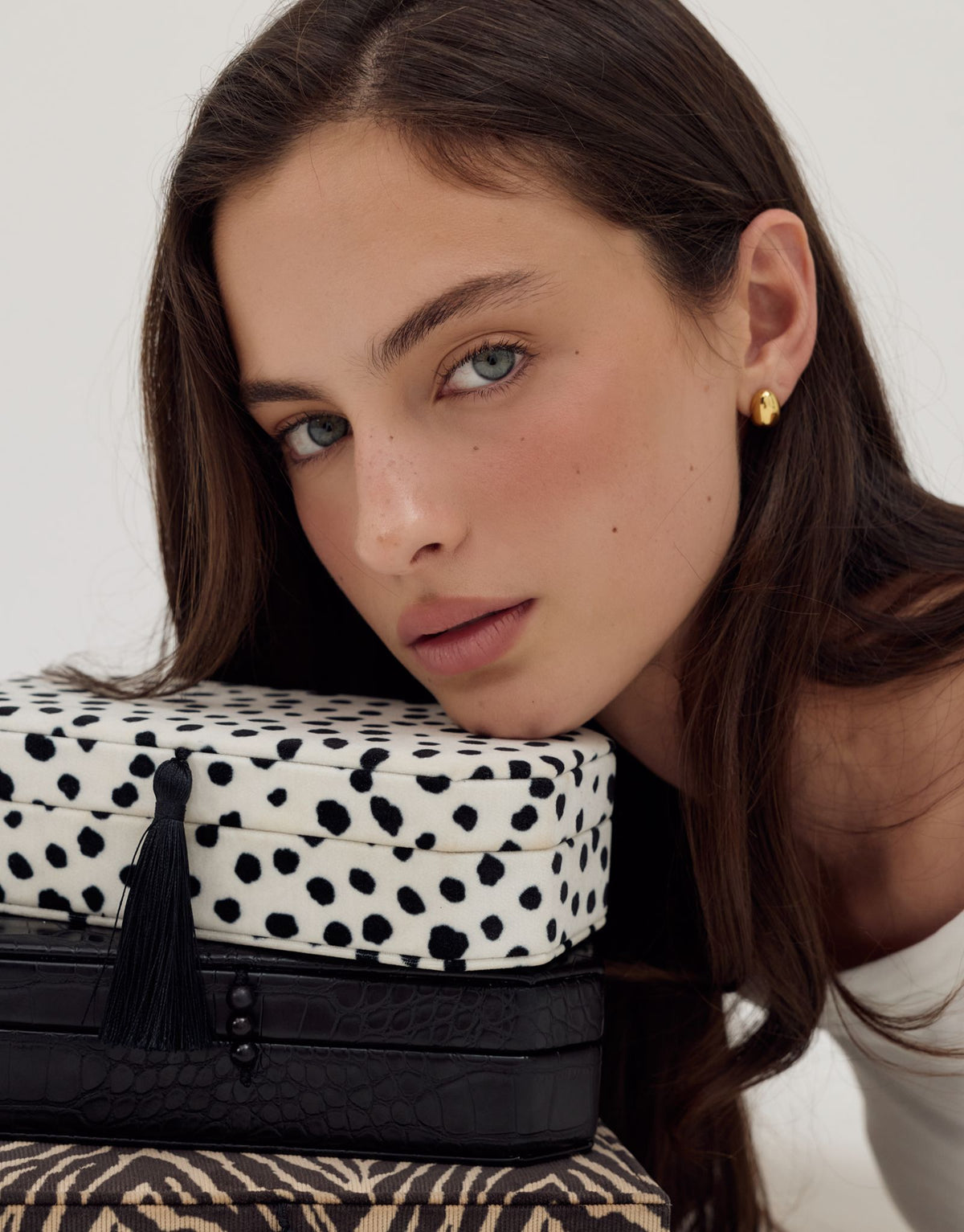 Dorothy Jewellery Box | Dalmatian