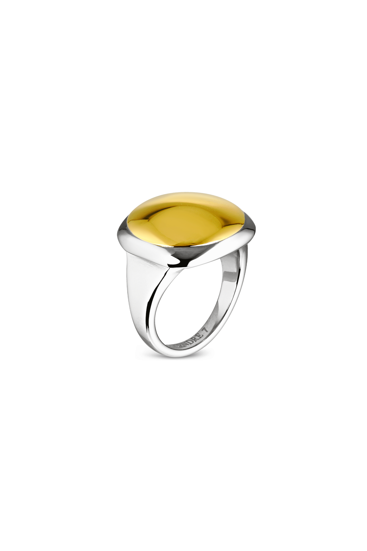 Gemini Ring | Two-Tone