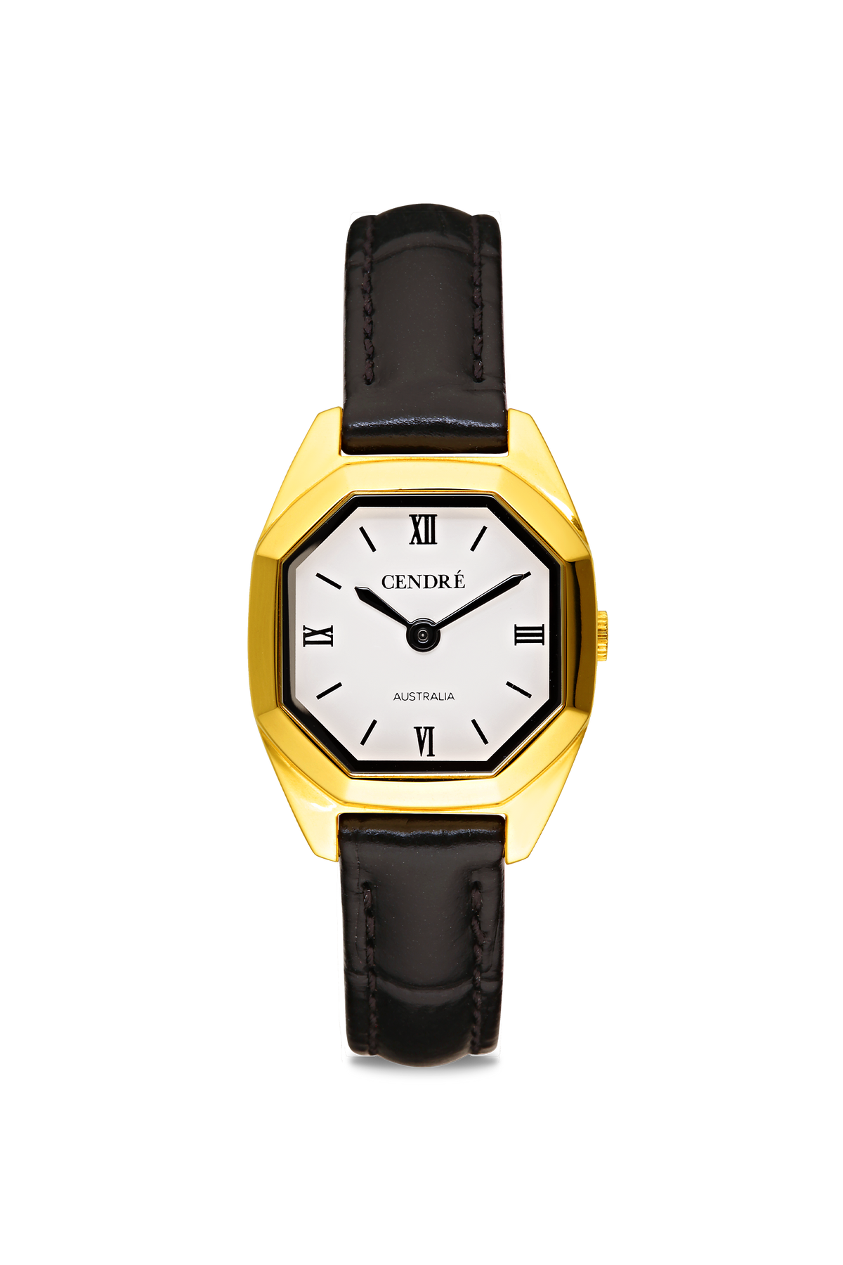 Kensington Watch | White | Black Croc