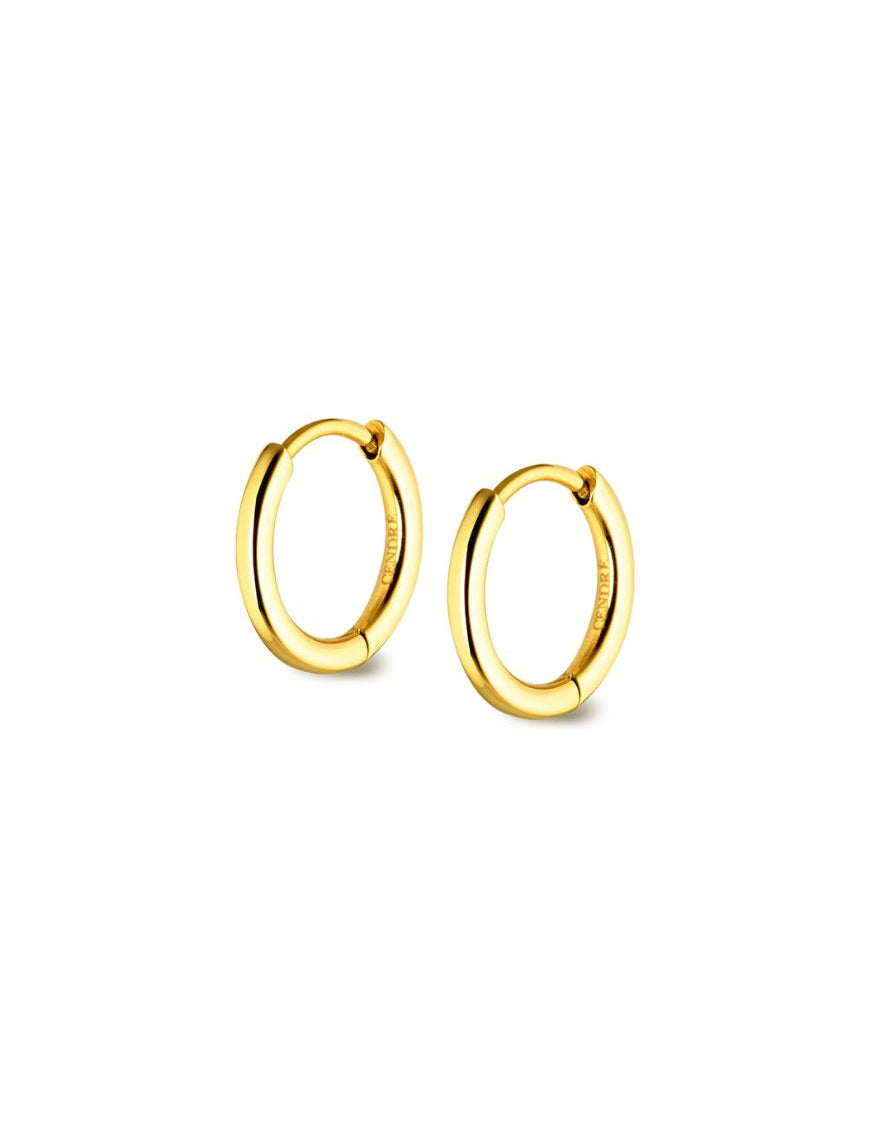 Rhi Huggie Sleeper Earrings | Gold