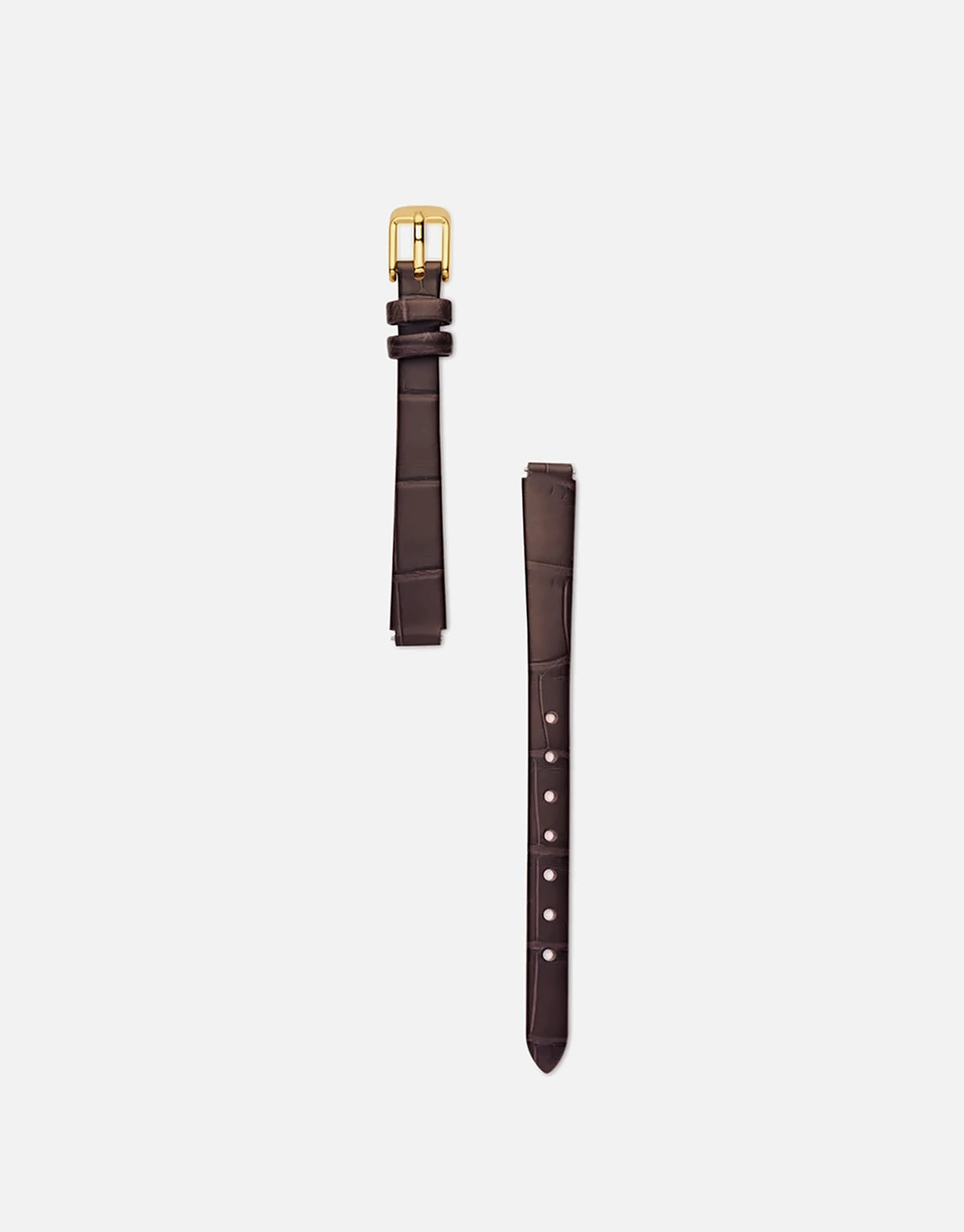 Baby | Espresso Croc Leather Band | Gold