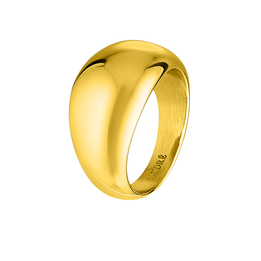 Yves Dome Ring | Gold